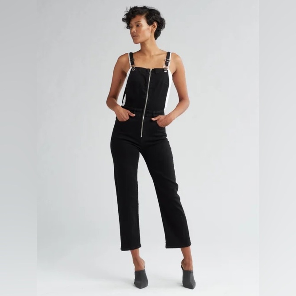 $256 retail Hudson Avalon Zip Up Overalls Size 29